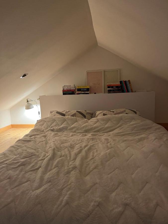 Airport Gate 25 Apartman Ledine Kültér fotó